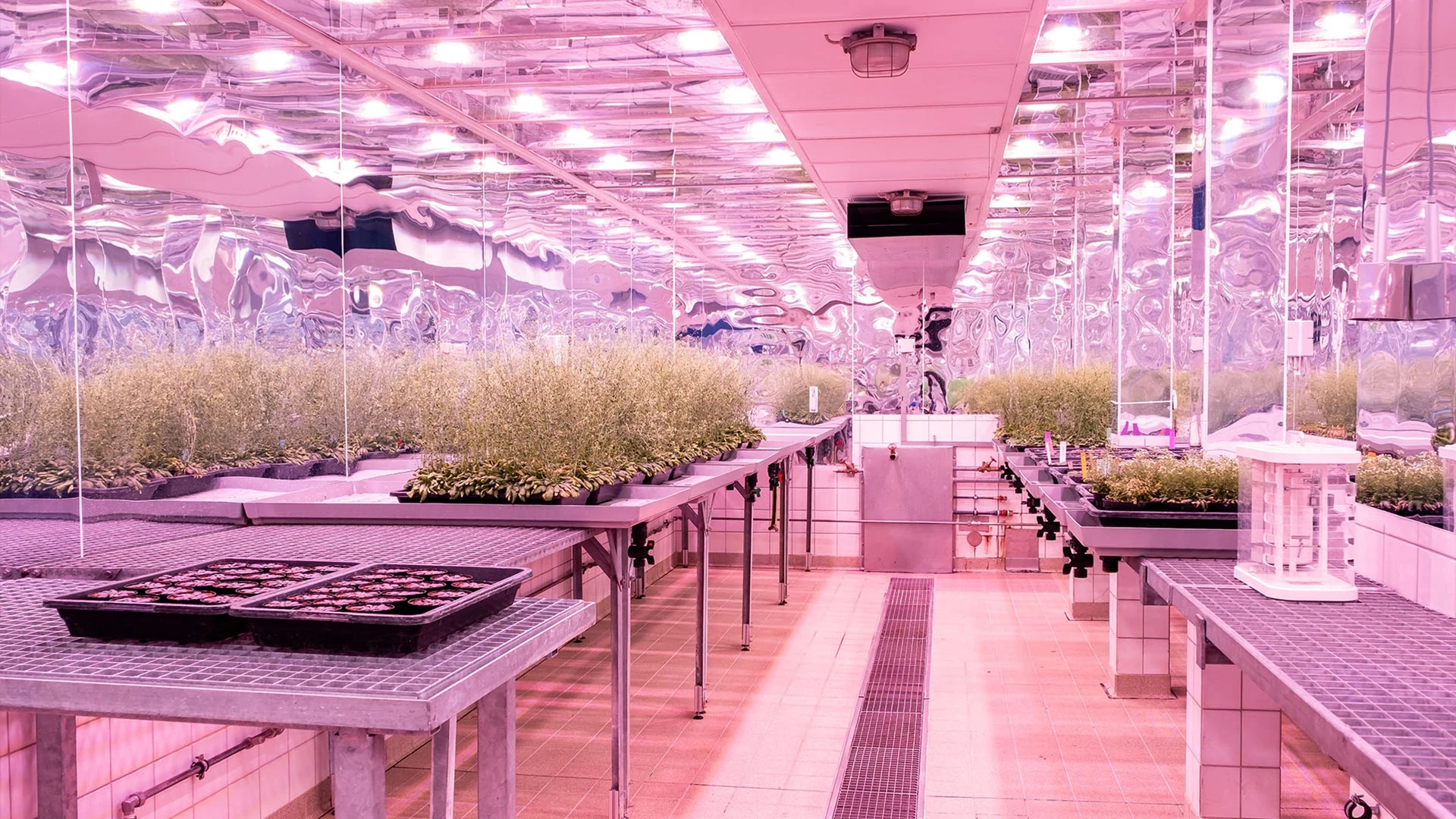 Climate chamber, University of Stuttgart