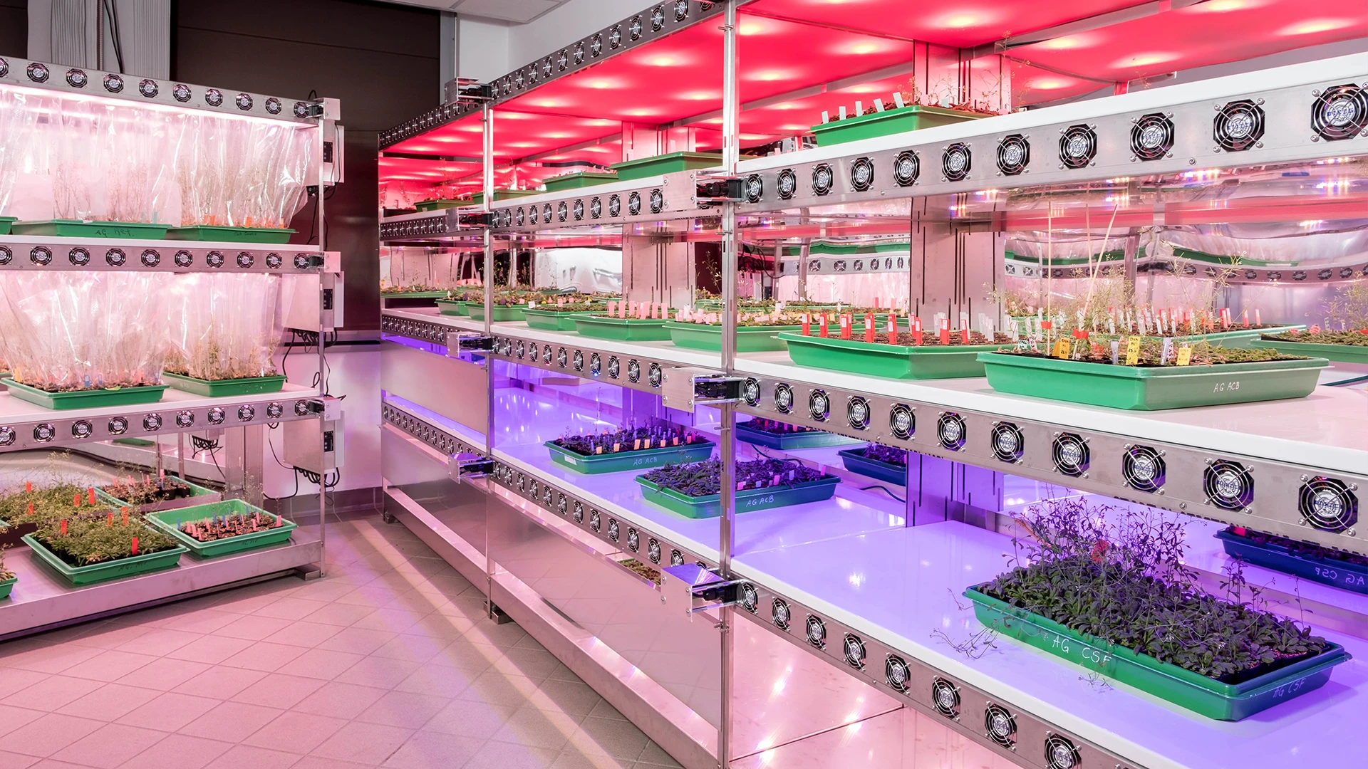 Lighting racks, IPK Gatersleben