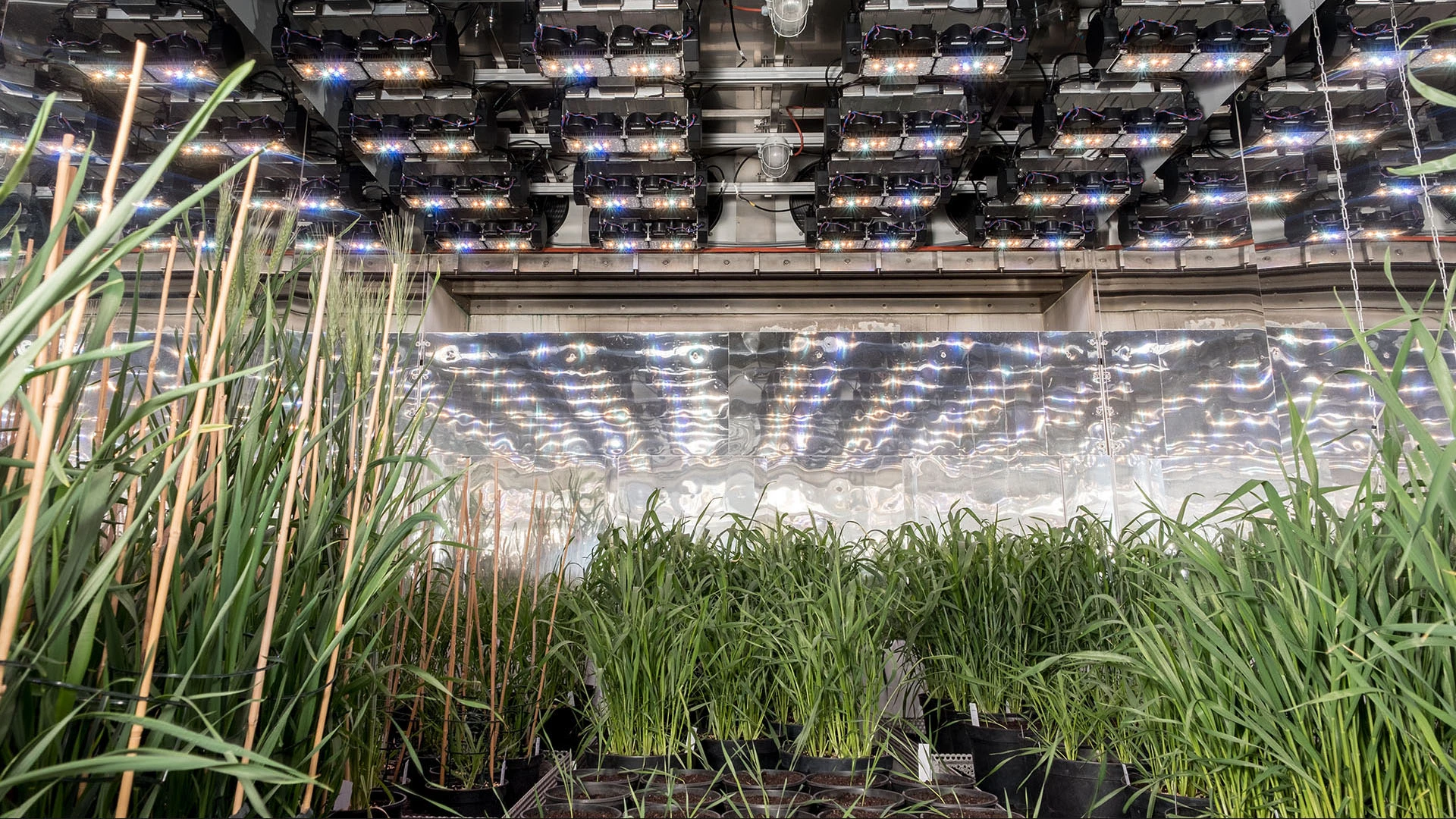 Climate chamber, IPK